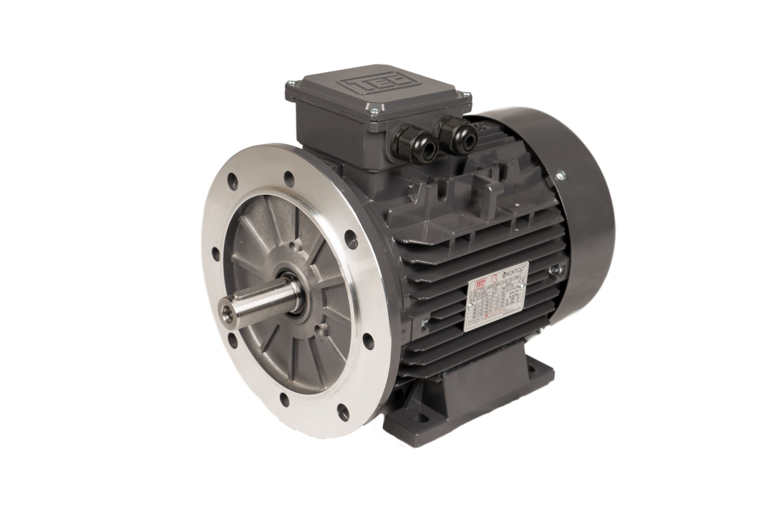 TEC Motors T2A Clockwise AC Motor, 250 W, IE2, 3 Phase, 4-Pole, Flange, Foot Mounting