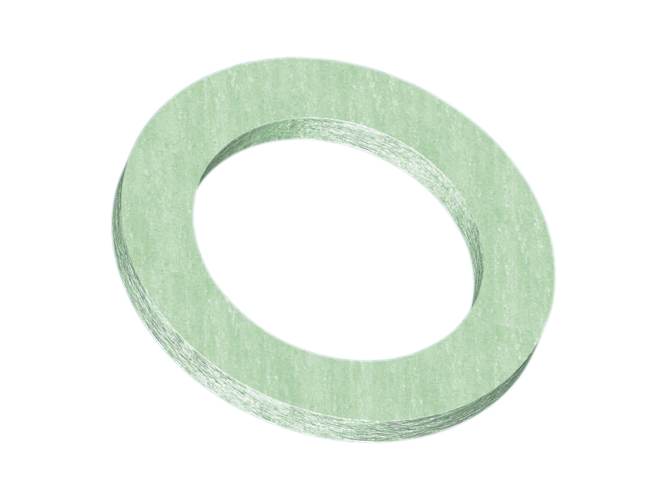 Watts Washer & Seal Kit