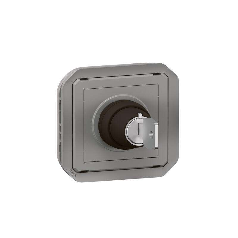 Legrand 1 Way Grey 10A Plexo Series