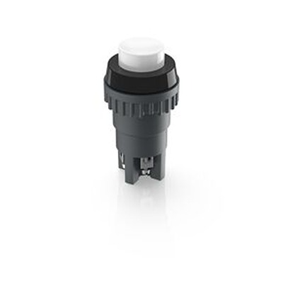 RAFI 1.01 Series Illuminated Push Button, Momentary, Through Hole, 18.2 mm Cutout, DPST, IP40, IP65 250 V ac