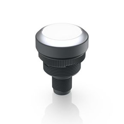 RAFI Push Button Switch for Use with Protective Cap