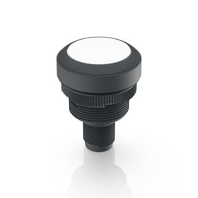 RAFI Push Button Switch for Use with Protective Cap