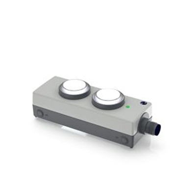 RAFI Momentary Control Station Switch - DPST, Plastic, 2 Cutouts, Transparent, IP65