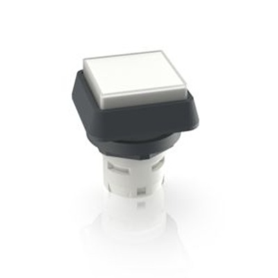 RAFI Transparent Push Button Actuator