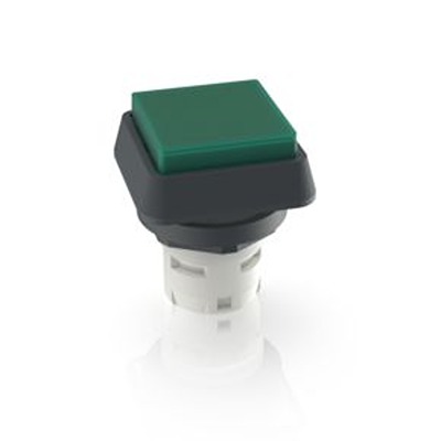 RAFI Green Push Button Actuator