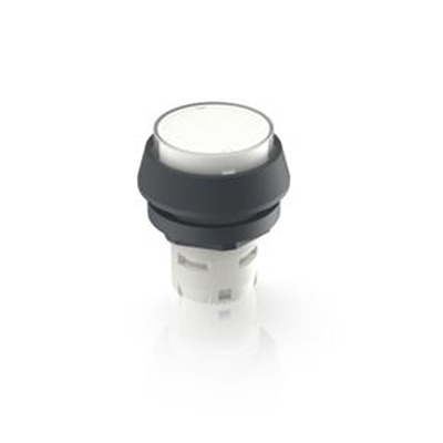 RAFI Transparent Push Button Actuator