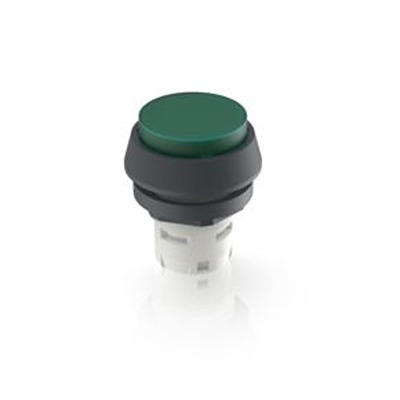 RAFI Green Push Button Actuator