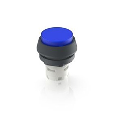 RAFI Blue Push Button Actuator