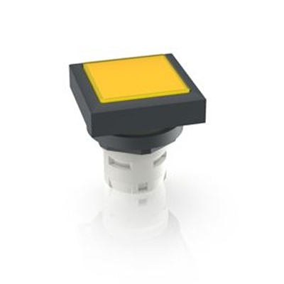 RAFI Push Button Switch for Use with Protective Cap