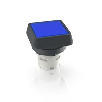 RAFI Push Button Bezel for Use with Push Button