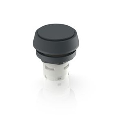RAFI Push Button Bezel for Use with Push Button