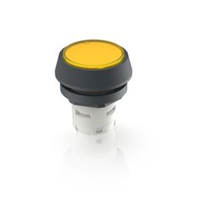 RAFI Push Button Bezel for Use with Push Button
