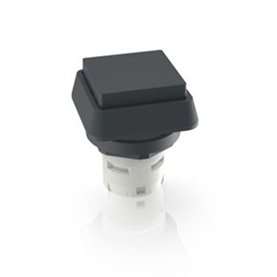 RAFI Push Button Bezel for Use with Push Button