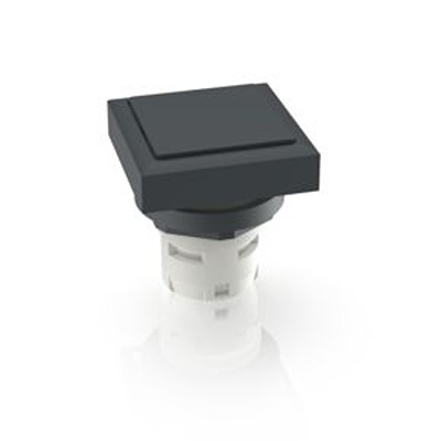 RAFI Push Button Bezel for Use with Push Button