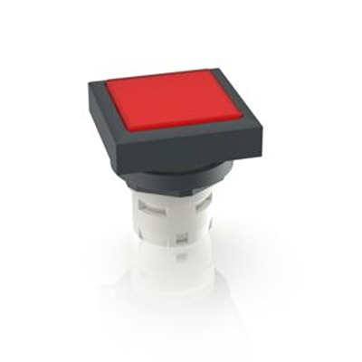 RAFI Push Button Bezel for Use with Push Button