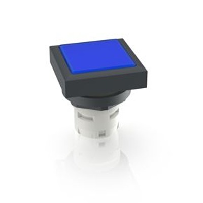 RAFI Push Button Bezel for Use with Push Button