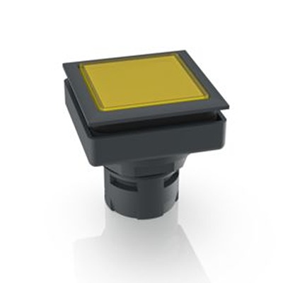 RAFI Push Button Bezel for Use with Illuminated Push Button