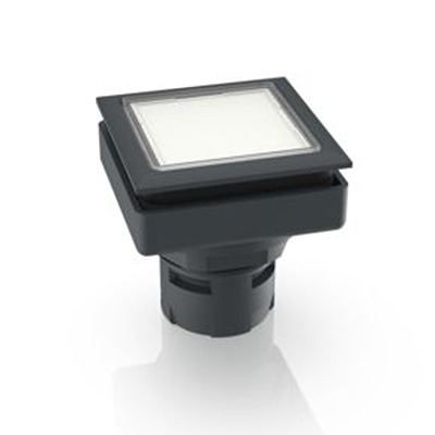 RAFI Push Button Bezel for Use with Push Button