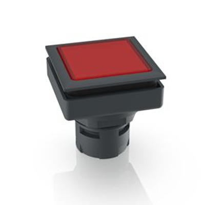 RAFI Push Button Bezel for Use with Push Button