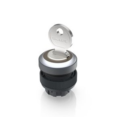 RAFI IP65 Key Switch, 100mA 455-Way