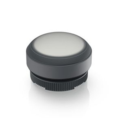 RAFI White Push Button Actuator