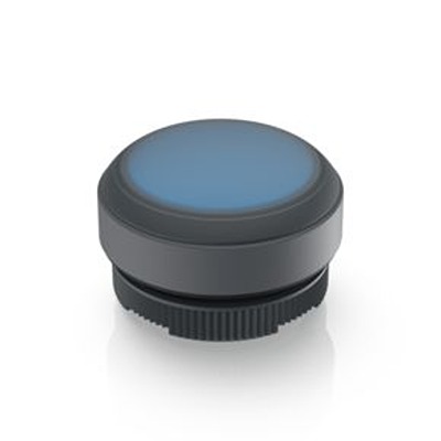 RAFI Blue Push Button Actuator