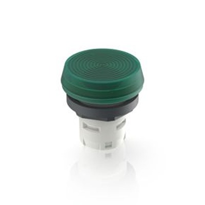 RAFI Green Indicator for Use with RAFIX 16