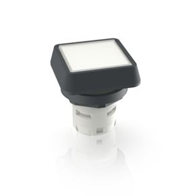 RAFI White LED Push Button for Use with Push Buttons
