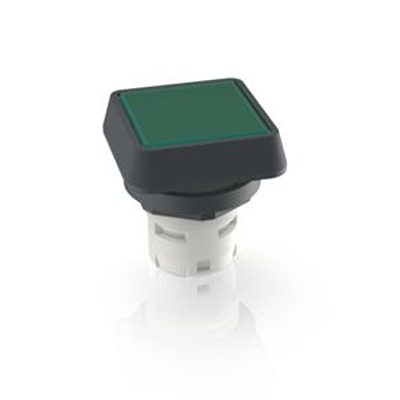 RAFI Green LED Push Button for Use with Push Buttons