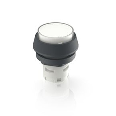 RAFI White LED Push Button for Use with Push Buttons