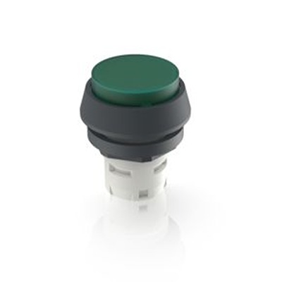 RAFI Green LED Push Button for Use with Push Buttons