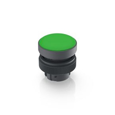 RAFI RAFIX 22 QR Series Green Indicator Through Hole, IP65