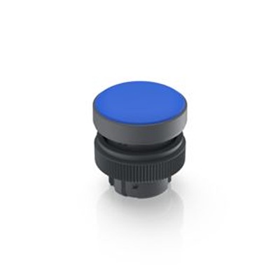 RAFI RAFIX 22 QR Series Blue Indicator Through Hole, IP65