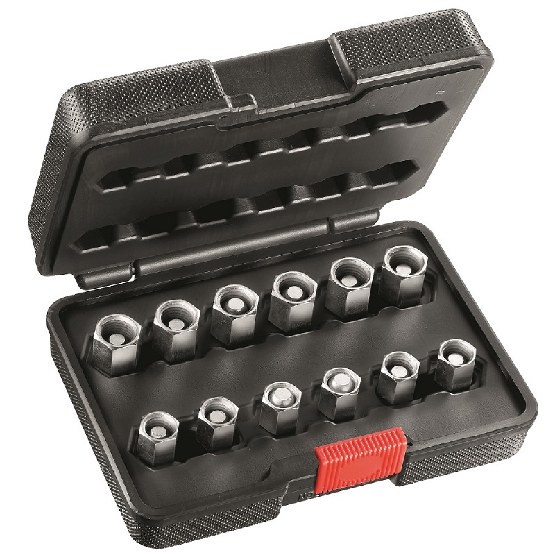 Facom Tyre Inflator