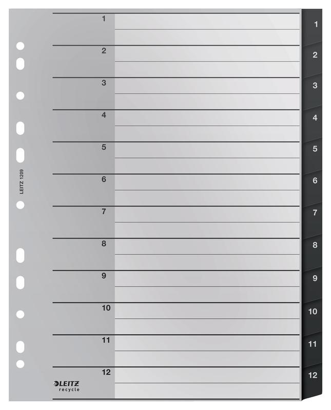 Leitz Black A4 Ring Binder Divider