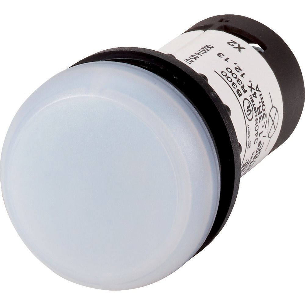 Eaton, C22, Panel Mount White LED Indicator, 22.5 mm Cutout, IP69K, IP67, Dome, 120V
