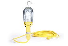 Molex GLS Incandescent Light Bulb, Clear, 120V