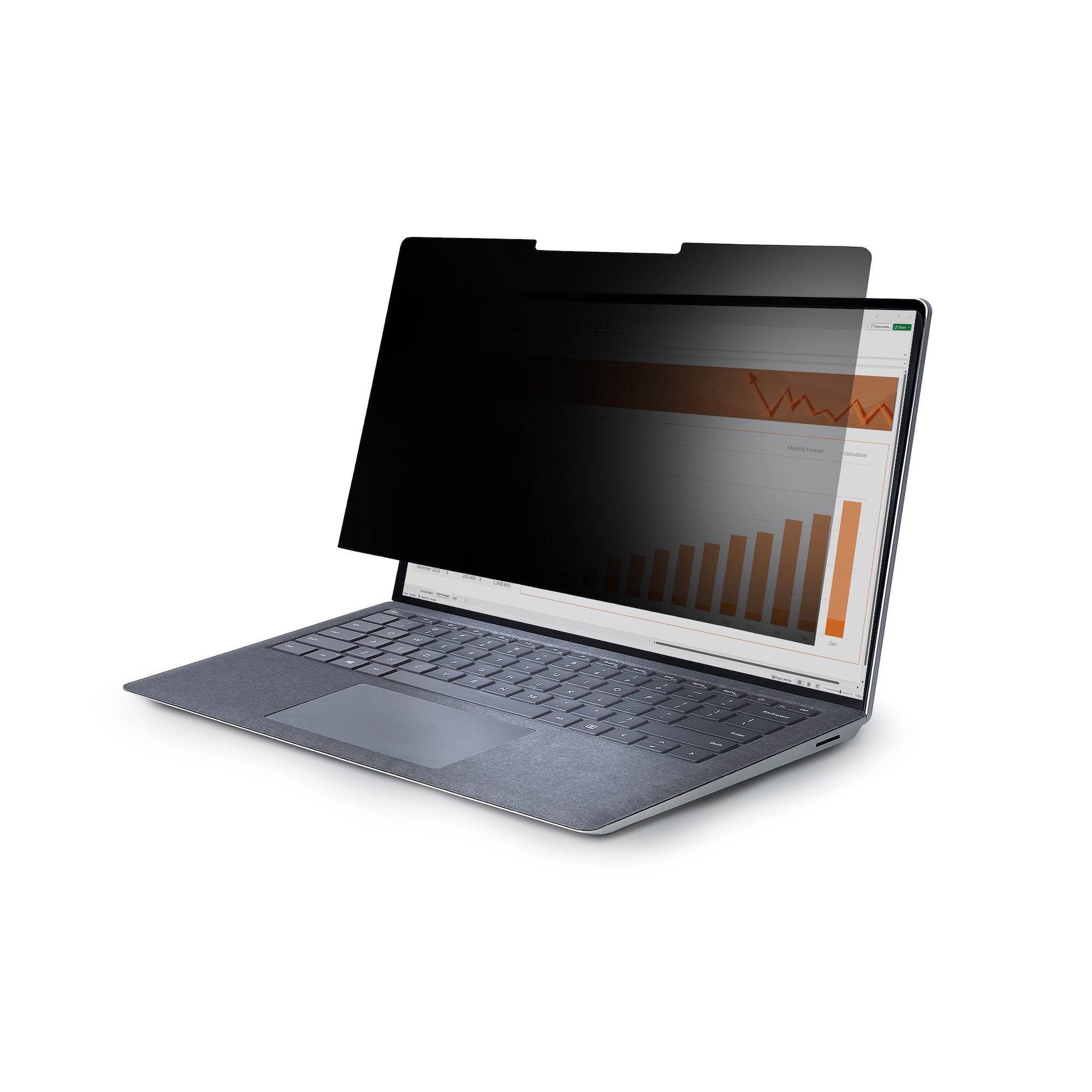 StarTech.com 13.5 in Privacy Screen