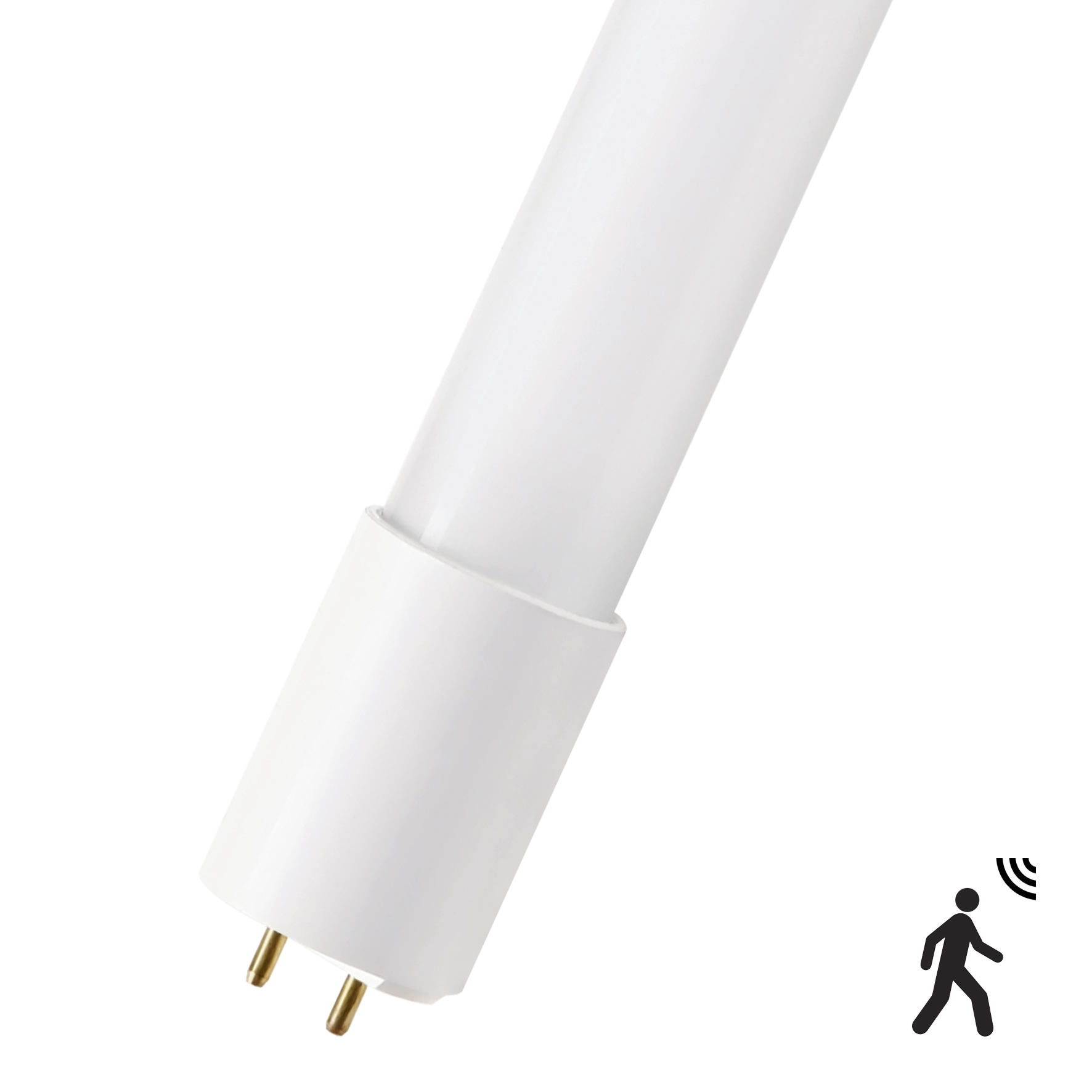 Bailey Electric & Electronics bv Ecoplus LED Tube 2000 lm 18 W LED Tube Light, G13 Cap, 4.75 ft (1449 mm)
