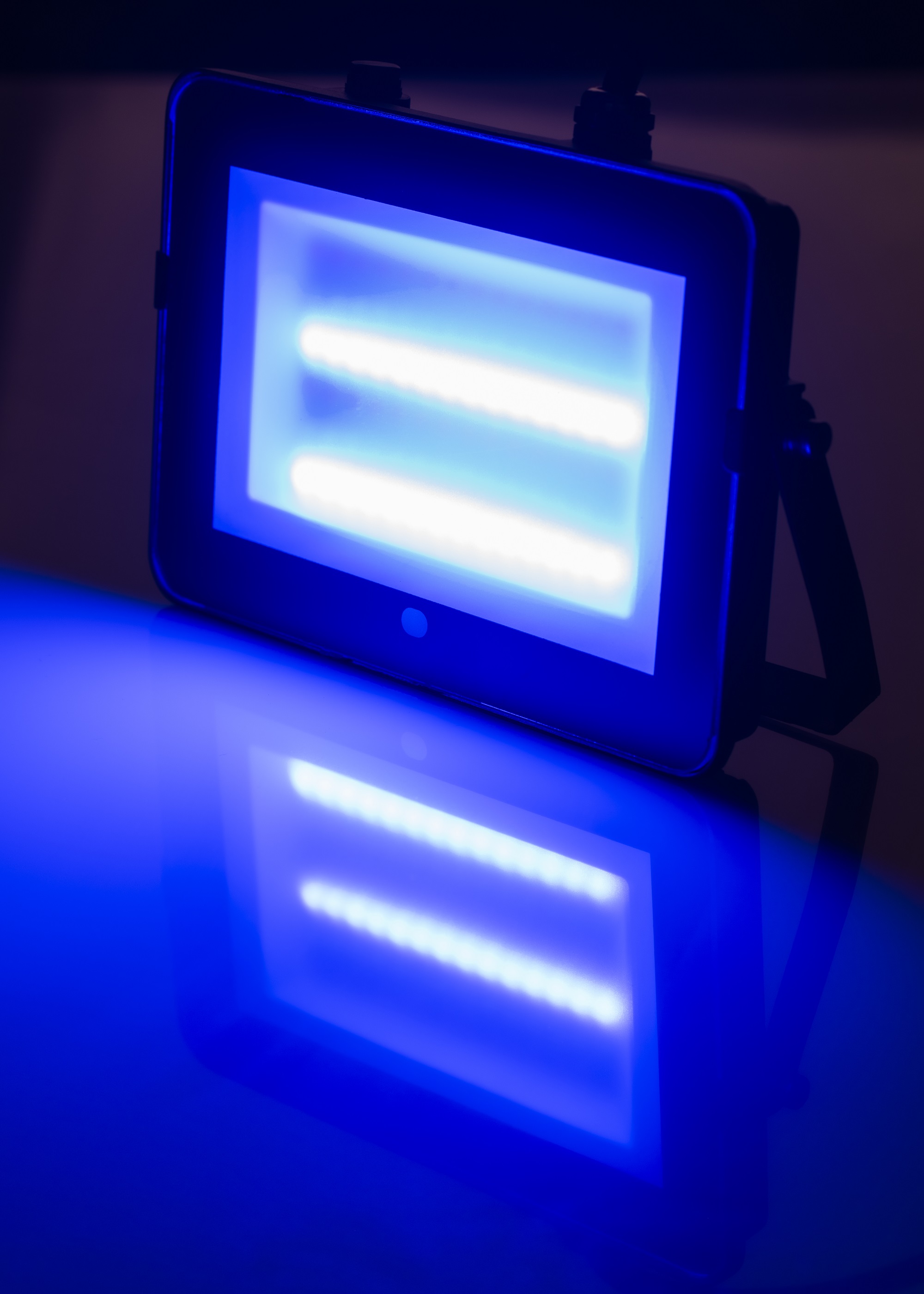 146502 Bailey Electric & Electronics bv Floodlight, 50 W