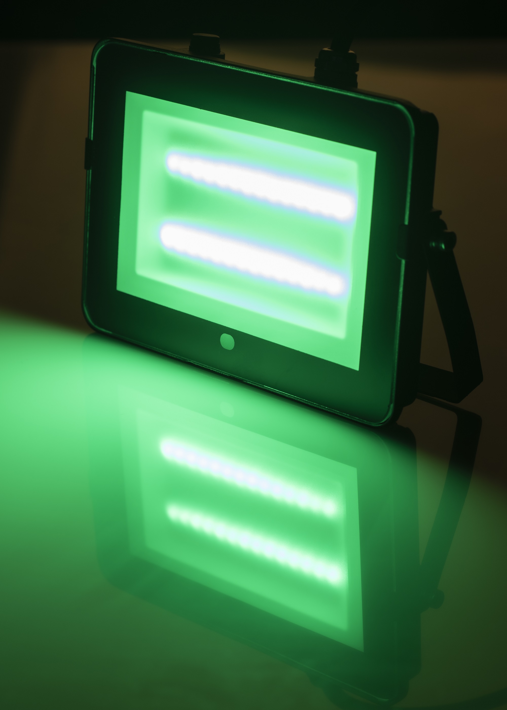 146502 Bailey Electric & Electronics bv Floodlight, 50 W