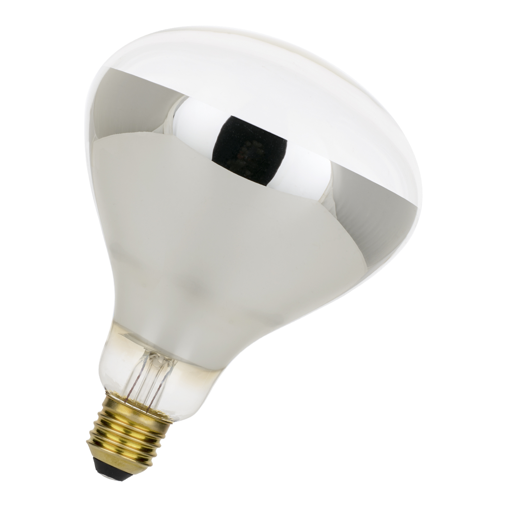 Bailey Electric LED Bulbs 250 W