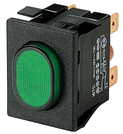 Marquardt Illuminated Push Button Switch, Panel Mount Green, DPST, IP54