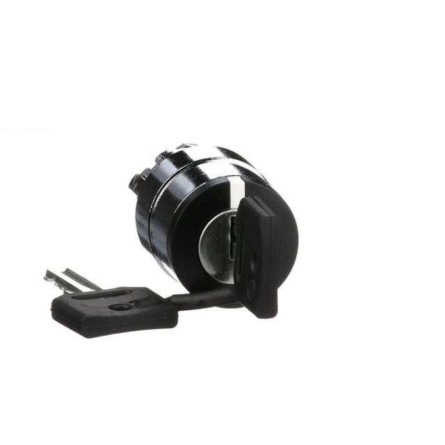 zb4bg4 2 position stayput both key switch