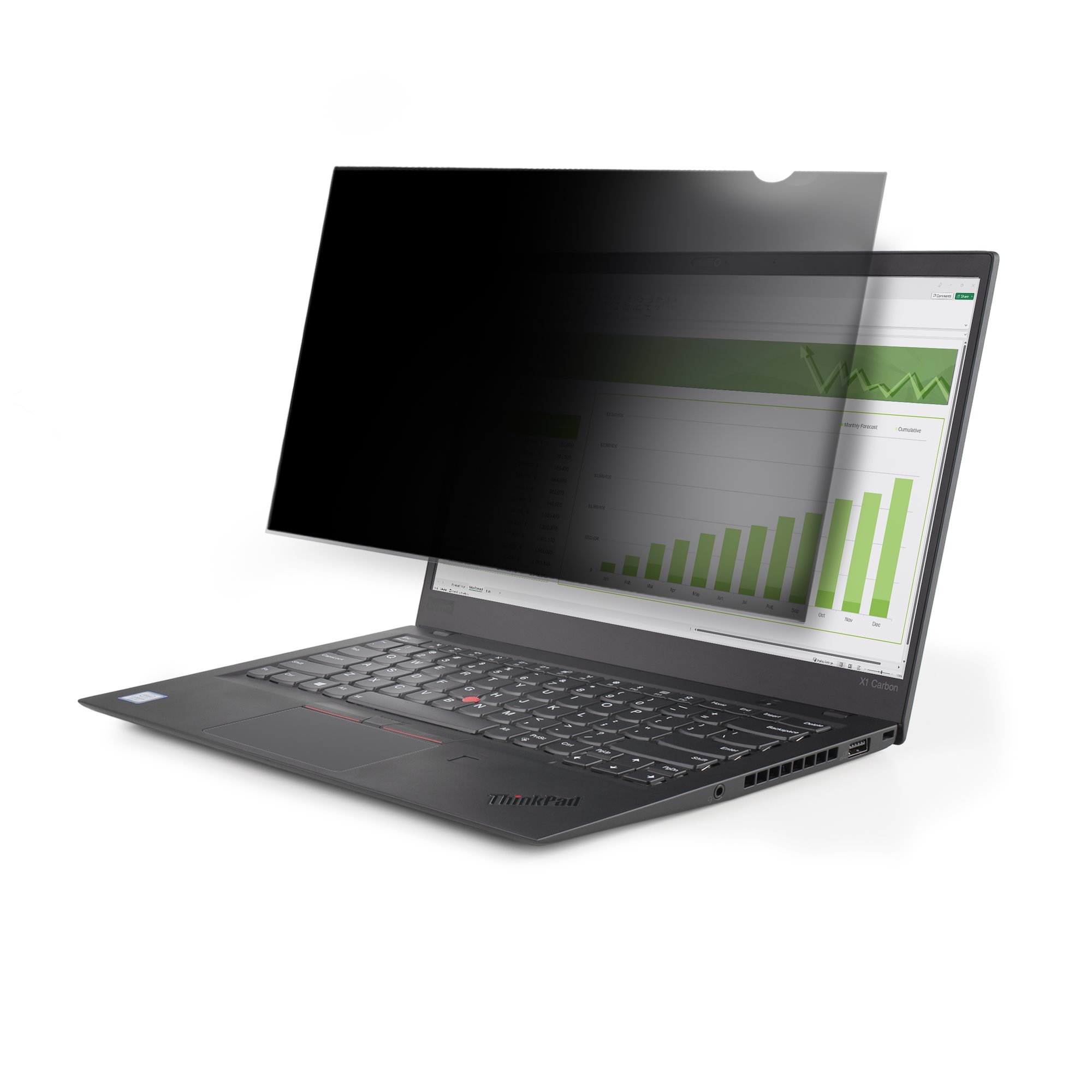StarTech.com 17.3 in Privacy Screen