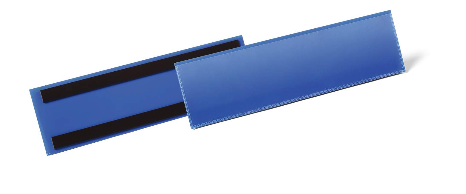 Durable Blue 1/3 A4 Document Display, 81.5 mm Height, 311mm Width
