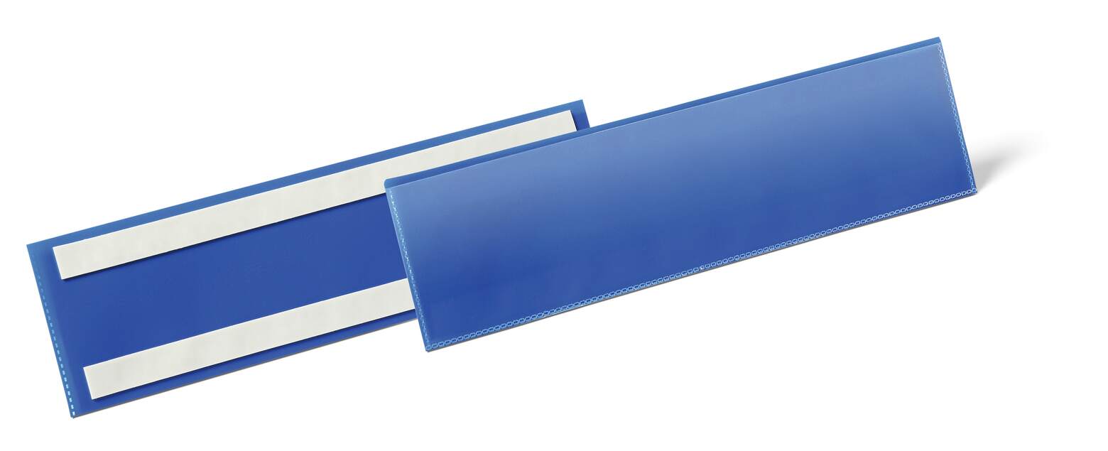 Durable Blue 1/3 A4 Document Display, 81.5 mm Height, 311mm Width