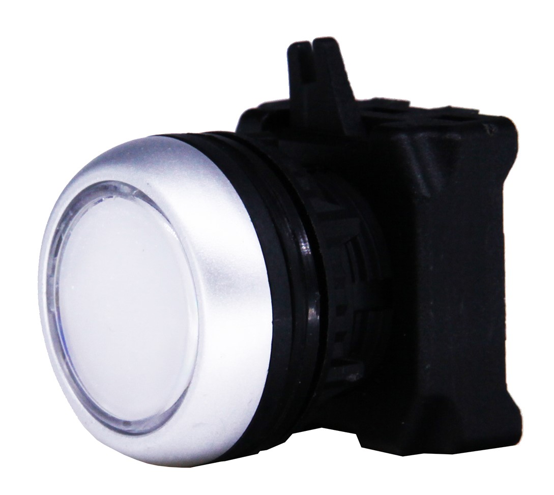 RS PRO RSEG Series White Spring Return Push Button Head, 22 mm Cutout, IP65