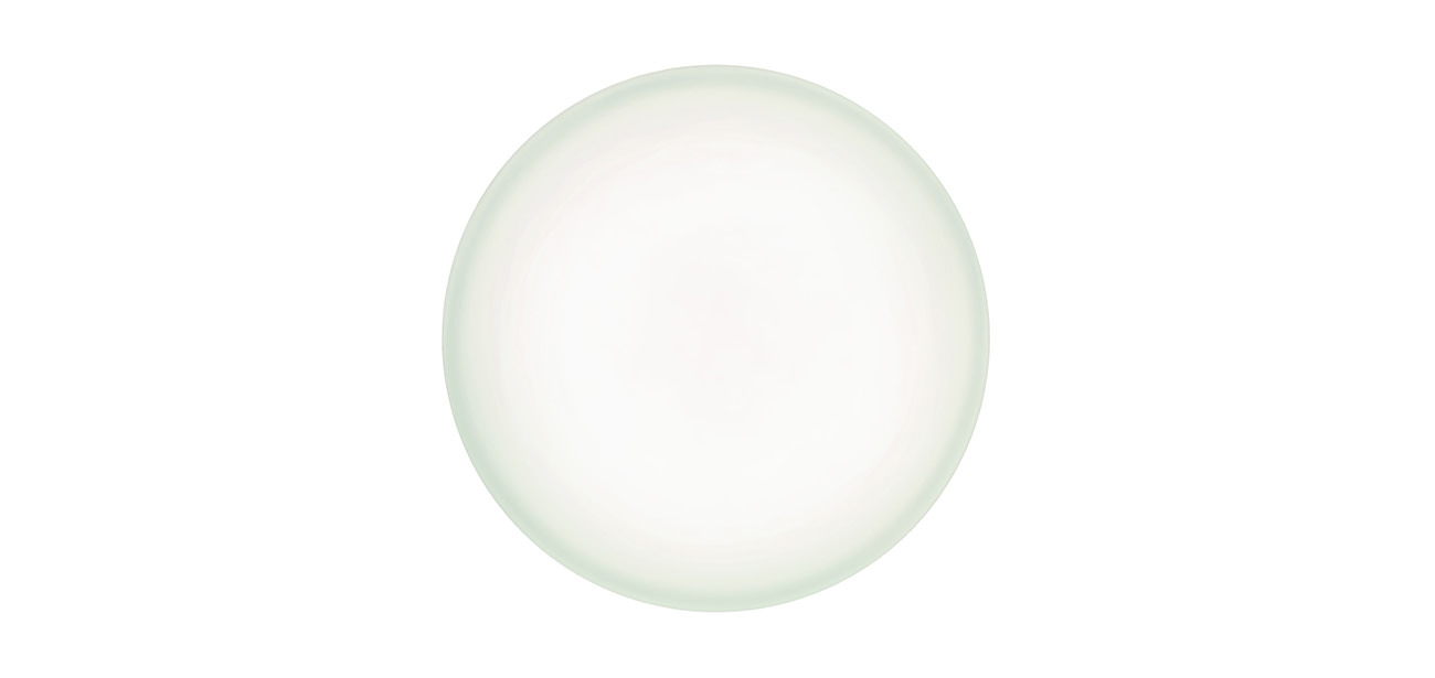43433 Sylvania LED Bulkhead Light, 18 W, 220-240, IP44