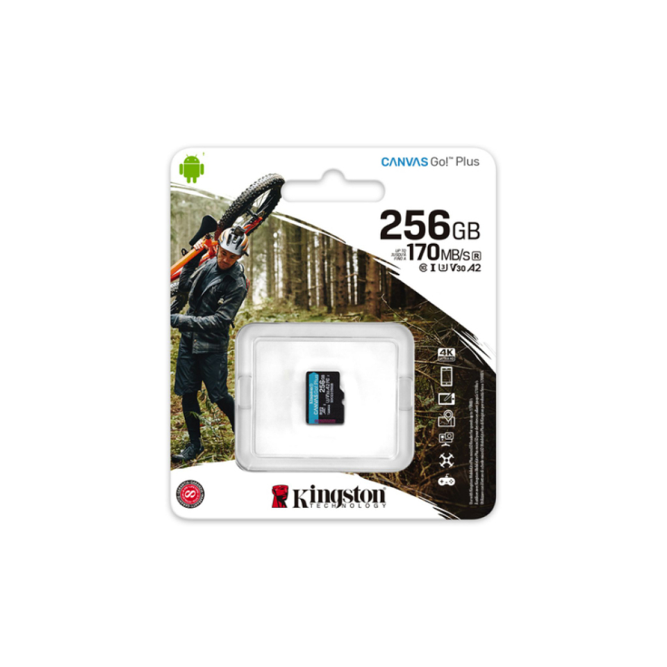 sdcg3256gbsp Kingston 256 GB MicroSDXC Micro SD Card, Class 10